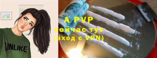 PSILOCYBIN Осташков