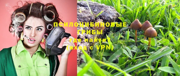 PSILOCYBIN Осташков