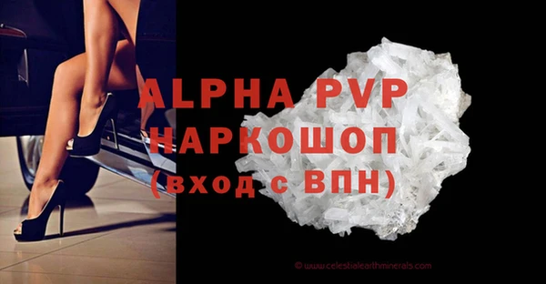 PSILOCYBIN Осташков